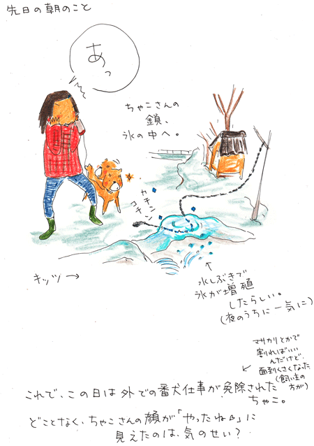 f0236291_11381460.gif