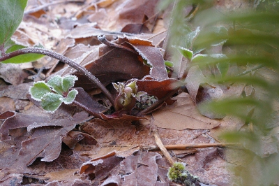 b0283192_961678.jpg