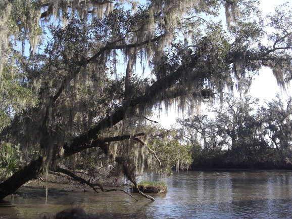 f0084492_8483424.jpg