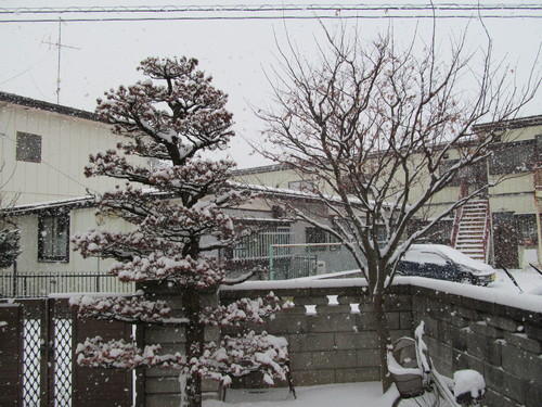 b0124693_8342953.jpg