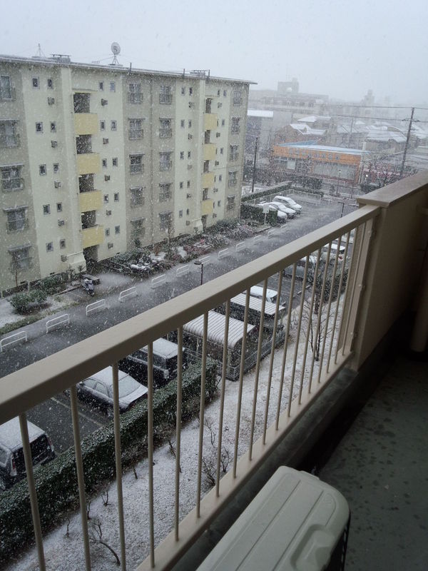 a0282294_1457169.jpg