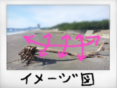 a0205596_16482060.png