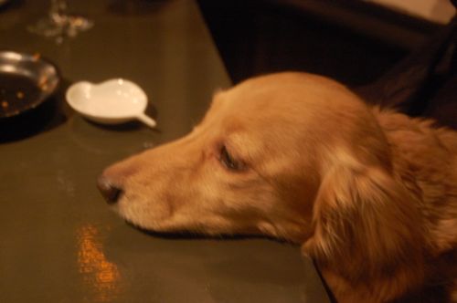 e0133096_8325292.jpg