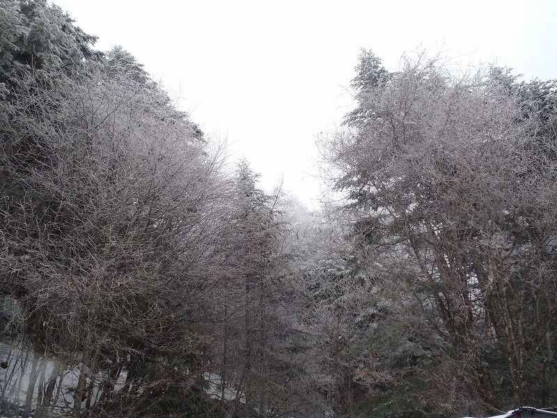 c0147398_0101114.jpg