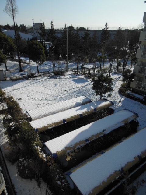 f0208812_7314049.jpg