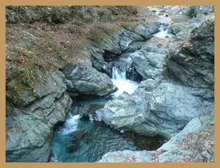 e0284019_2073938.jpg