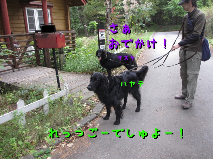 c0237824_9335735.jpg