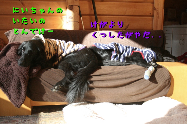 c0237824_9354386.jpg