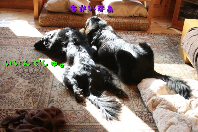 c0237824_9425839.jpg