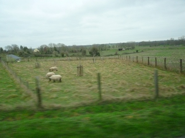 a0024829_2226131.jpg