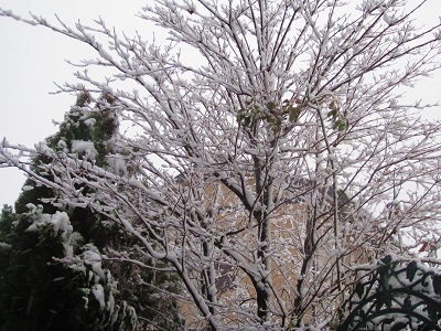 f0002833_23113525.jpg