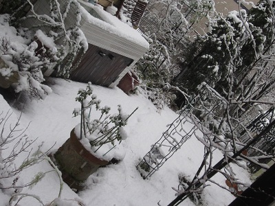 f0002833_2311678.jpg