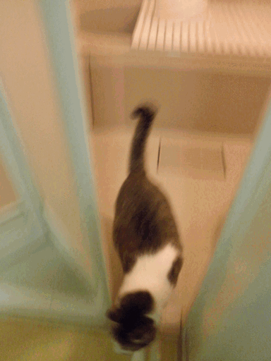 c0136736_2024210.gif