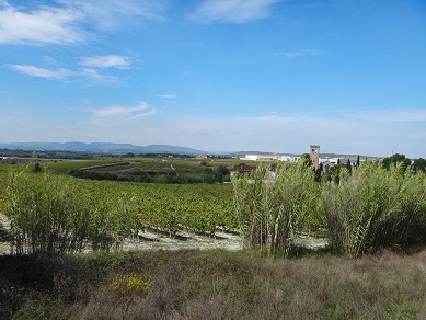 e0238838_8264458.jpg