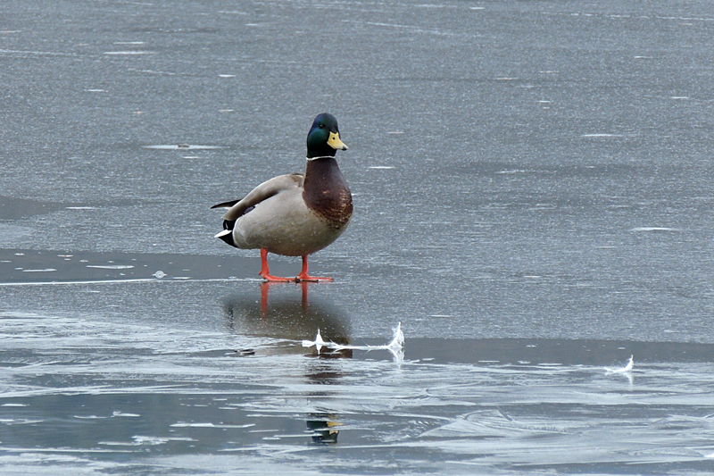 b0016545_22223392.jpg