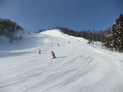 e0173645_81267.jpg