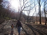 f0087347_00849.jpg