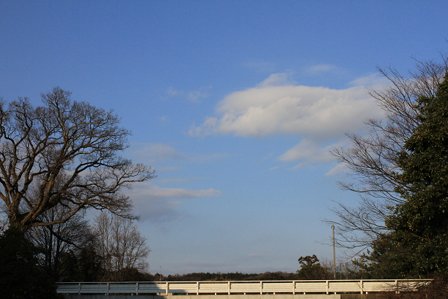 f0108553_18375020.jpg