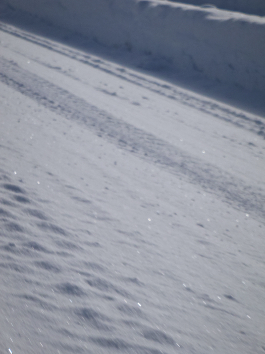 f0225953_23143491.jpg