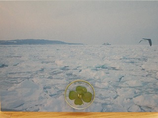 e0004756_2128469.jpg