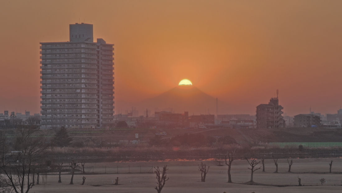 a0150260_20353036.jpg