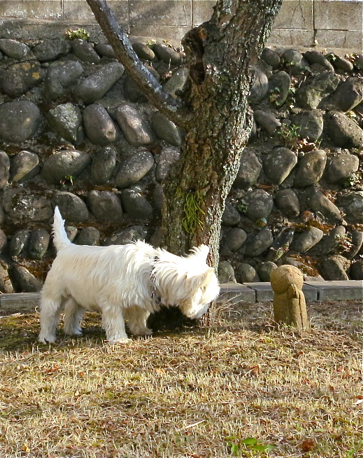 c0260460_20154125.jpg