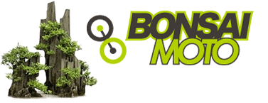 c0198263_143293.png