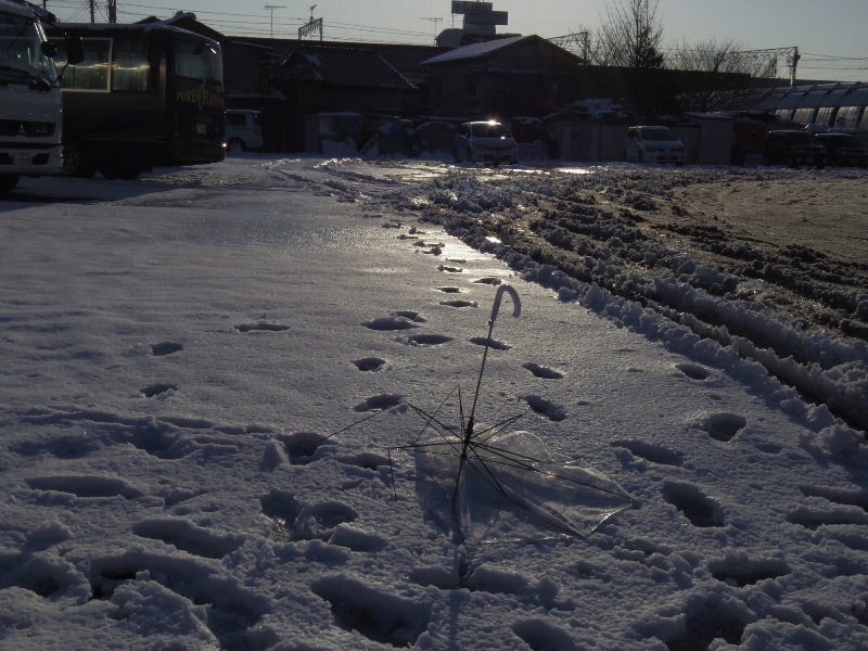 b0084270_23515526.jpg