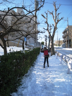 a0162874_845321.jpg