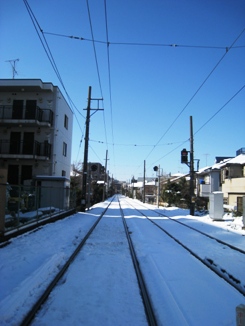 a0162874_8462890.jpg