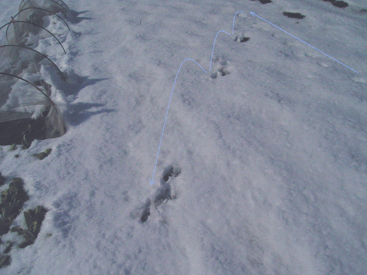 d0225575_14121753.jpg