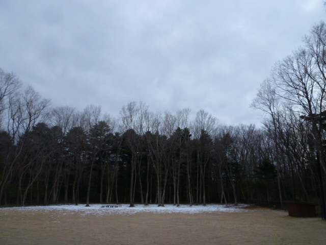 e0165577_11575916.jpg