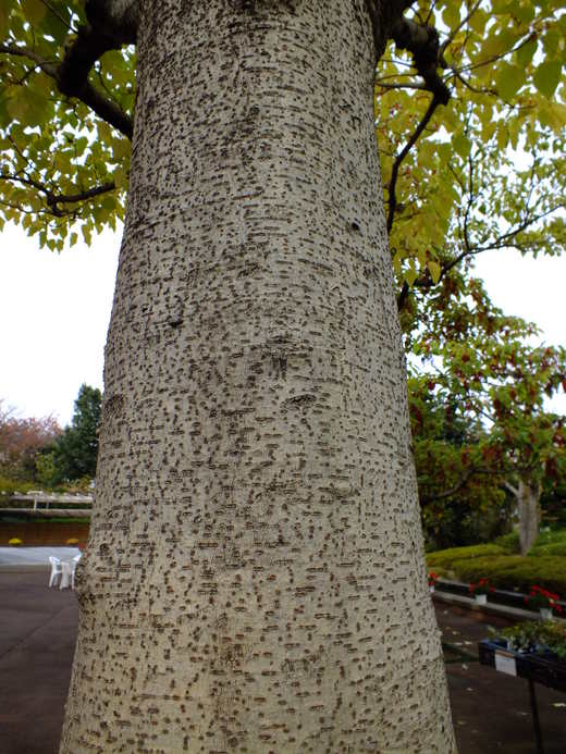 e0145782_12253057.jpg