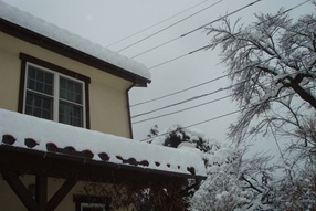 e0096485_1149898.jpg