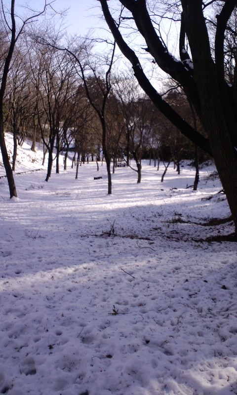 e0054290_23212618.jpg