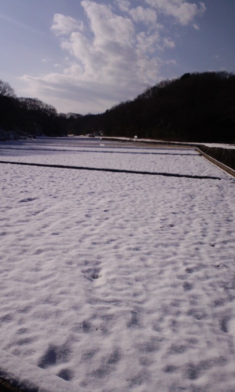 e0054290_23212646.jpg
