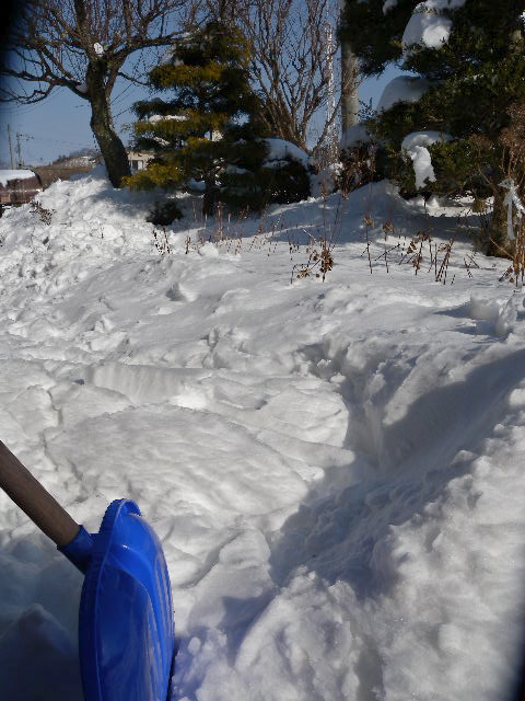a0199297_16594874.jpg