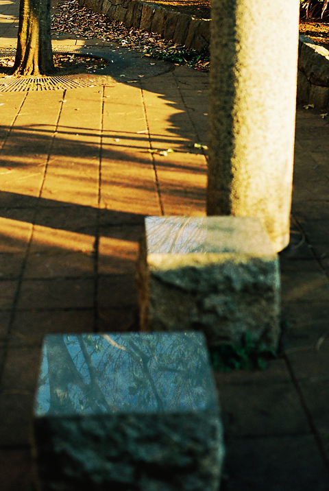 b0286898_1017540.jpg