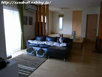 e0145805_19525745.jpg