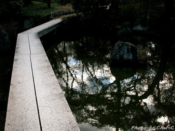 a0154706_8383690.jpg