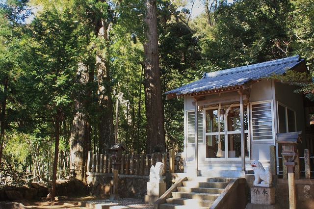 d0154609_933217.jpg