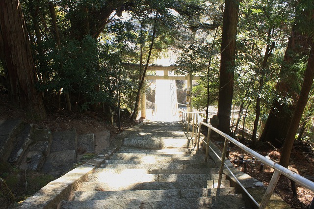 d0154609_9344769.jpg