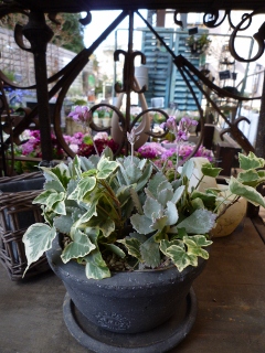 c0167112_20564167.jpg
