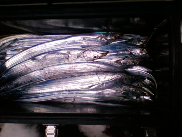 e0125217_17422438.jpg
