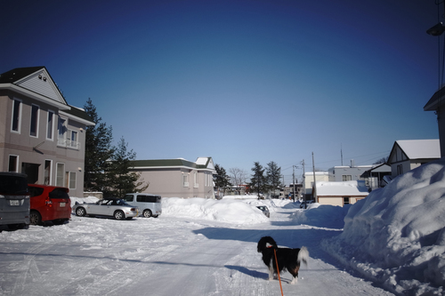 c0051132_2138455.jpg