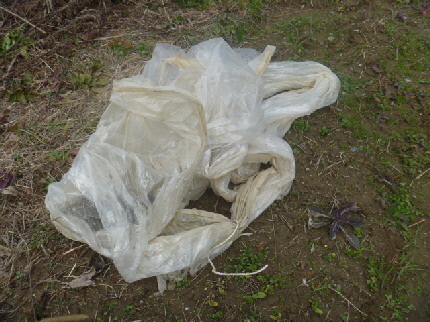 b0246036_11422965.jpg