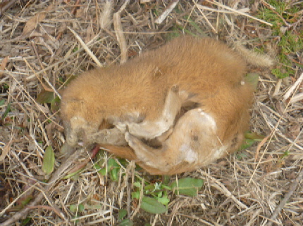b0246036_11444557.jpg