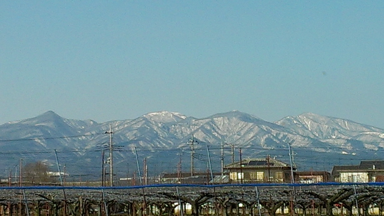 a0014141_215854.jpg