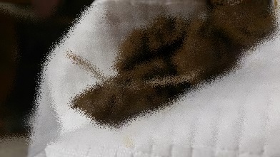 c0264744_13425468.jpg