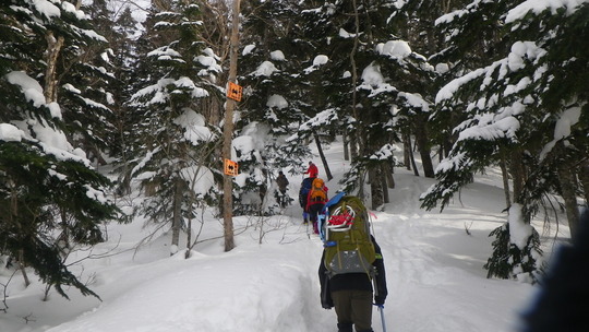 c0042847_1034342.jpg